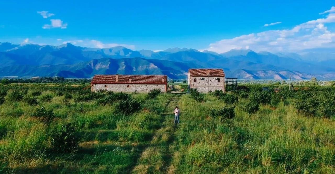 Mestvireni Telavi Exterior photo